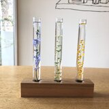 ハーバリウム/春の三種