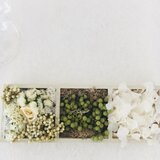 フラワーボックス(角)の画像
