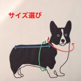 サイズの選び方