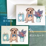 ＜オーダーメイド＞多目的に使えるかわいいポストカード＊20枚の画像