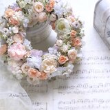 ピーチオレンジのリース