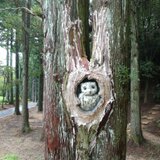 フクロウの巣3Dオブジェ（木に埋め込む）
