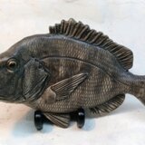 クロダイ壁掛け