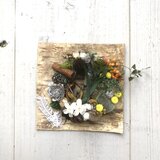 【クリアケース付き】繊細な白樺皮アレンジ