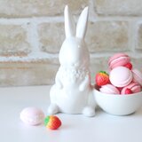 陶器のうさぎにマカロンといちご【送料無料】