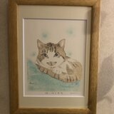 瞳に映る世界の画像