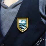 胸にあらしを　バッジ