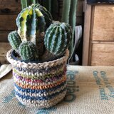 サボテンと鉢カバー