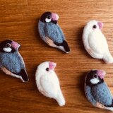 文鳥のブローチ（受注制作）の画像