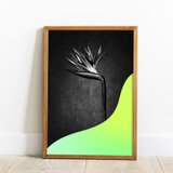 ”Silent 01”　A3ポスター