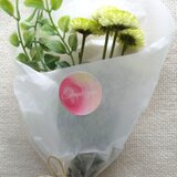 ありがとう　丸型シール　8種類　2セット（全１６枚）　ナチュラル　アート　naturako　