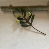 オリーブのコサージュ（緑)の画像