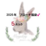 ✨【送料無料】『2025年福袋-ブローチ５点セット』５点ともランダムの画像