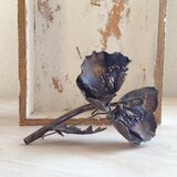 half poppy(dim,totyuu)の画像