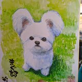 大色紙オーダーイラスト