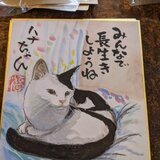 小色紙オーダーイラスト