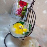 ｱｲｱﾝ～ﾊﾝｷﾞﾝｸﾞﾁｪｱのお花