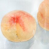 もも2013（額装）の画像