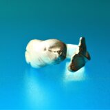 海のカナリア　シロイルカのロールリングの画像