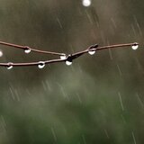 雨粒 （固定）。。。スタッドピアス（アレルギー対応）の画像