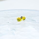 ガラスのピアス/イエローの画像