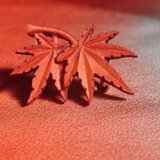 紅葉　帯留の画像