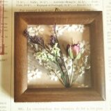 フラワーフレーム・ローズ