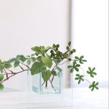 インテリアグリーン　マジカルウォーターフラワー