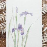 和紙の絵葉書【これからもずっと】の画像