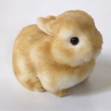 ＜受注制作＞うさぎのぬいぐるみ　ネザーランドドワーフの赤ちゃんの画像