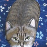 野良王（のらお）