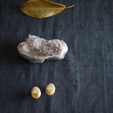 けやきの木のピアス　