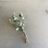 ユーカリのコサージュ(大)