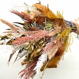 ドライスワッグ Autumn