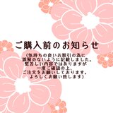 ご購入前のお知らせの画像