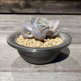 鉄の丸鉢 2個セット