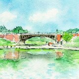 ポストカード（長池公園の自然）7枚入り