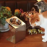 もっと上下する！チョイななめスタンド 【大】 洗えるステンレスフードスタンド