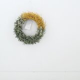 ジャルダン　YE