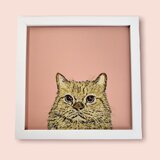 キョトンとした茶猫