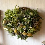 ヤツデのナチュラルドライフラワーハーフリース！AtelierKouan