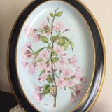 さくらの絵皿の画像