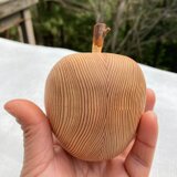 白い犬　吉野杉　癒しのリンゴ　Ｓ　②