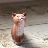 ちゃのすけ（てぶくろ子猫）