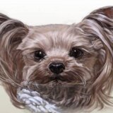 【写実タッチ】肖像画制作【A2サイズ】フレーム付き