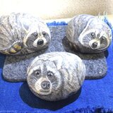 アライグマ３体