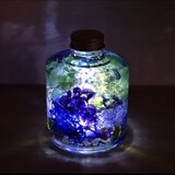 『星屑の森』プリザーブドフラワーとクリスタルのメルヘンハーバリウムライトの画像