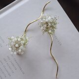 elder flowerの画像