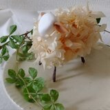 hana hituji【花ひつじ】