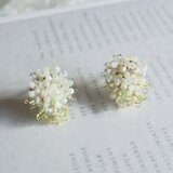 elder flower [ short ]の画像